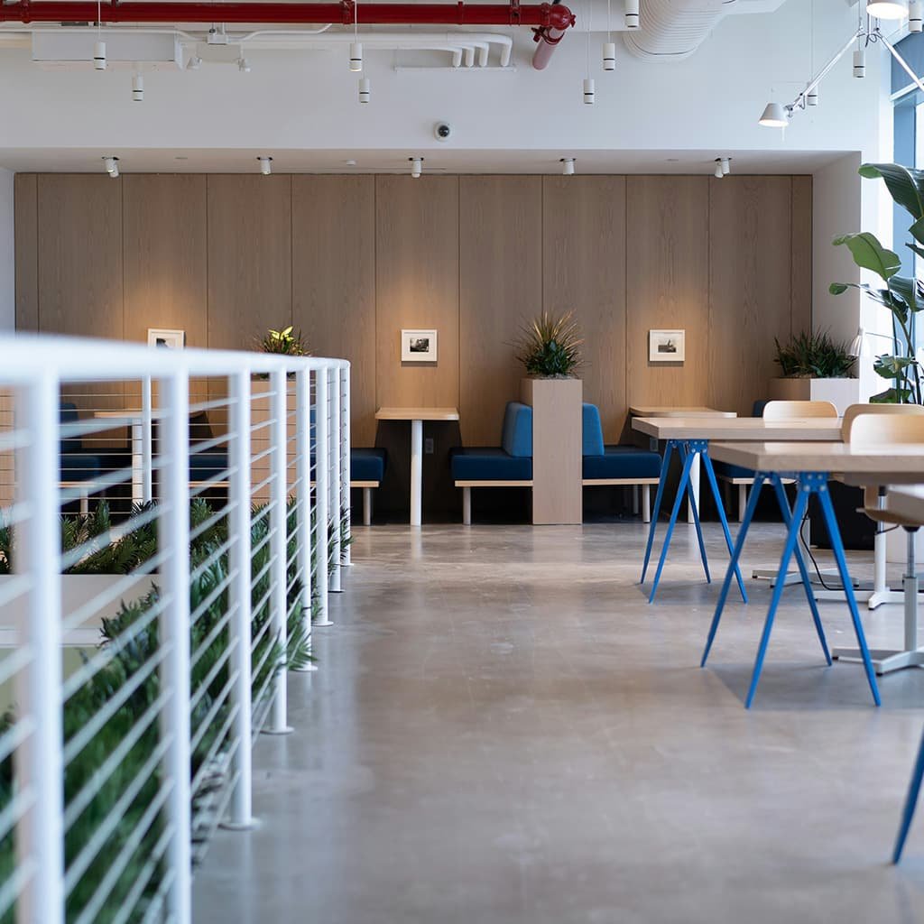 A newly remodeled and fully finished commercial office space in Dallas, showcasing high-quality construction, modern furniture, and professional lighting.